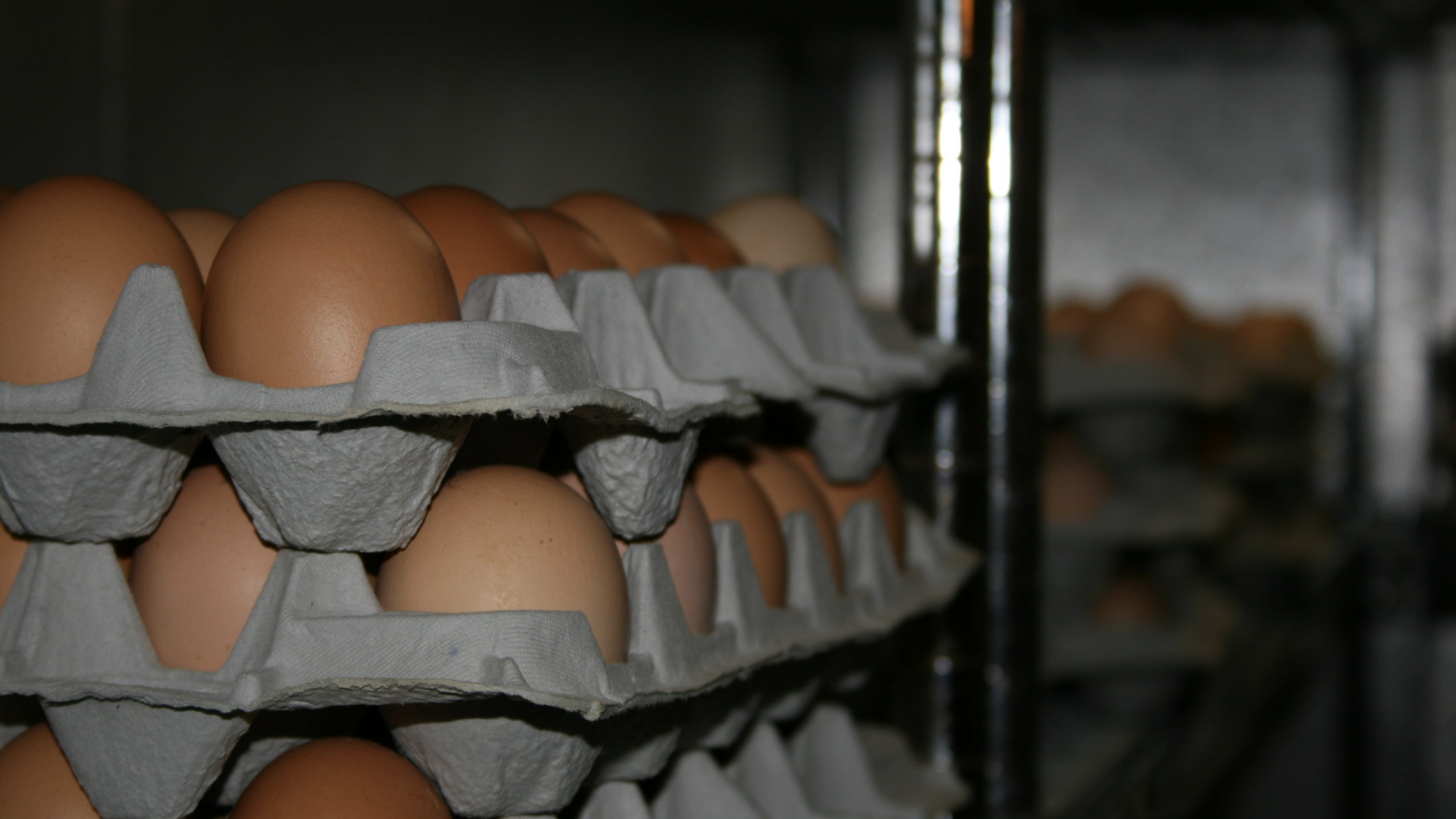 DOH has advised the public against using frozen eggs as a fresh egg substitute since it may be harmful to their health.