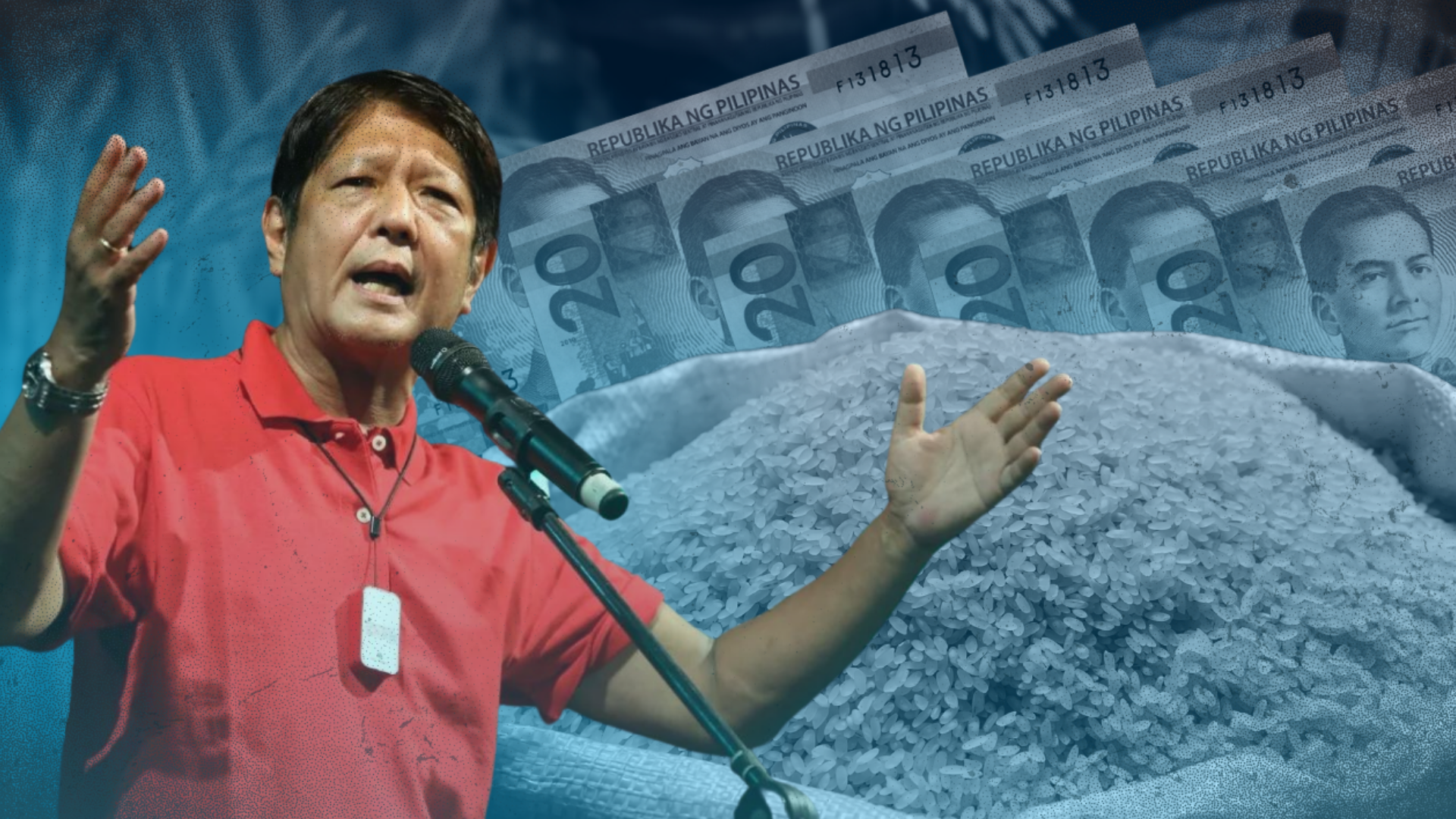 A P20 per kilo rice price is what President Marcos is determined to achieve