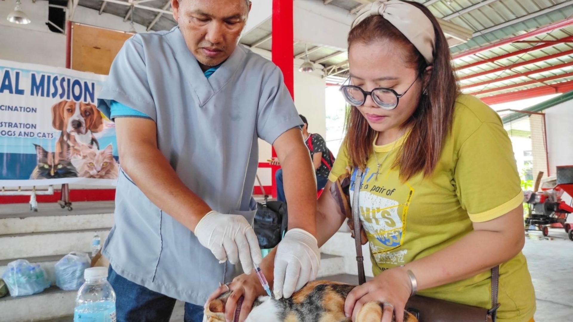 Due to a "rabies outbreak," the DTI imposes a 60-day price freeze in Ilocos Norte.