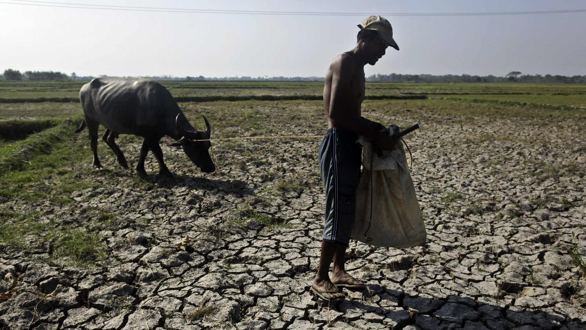 El Niño-affected areas at danger for dry periods and droughts