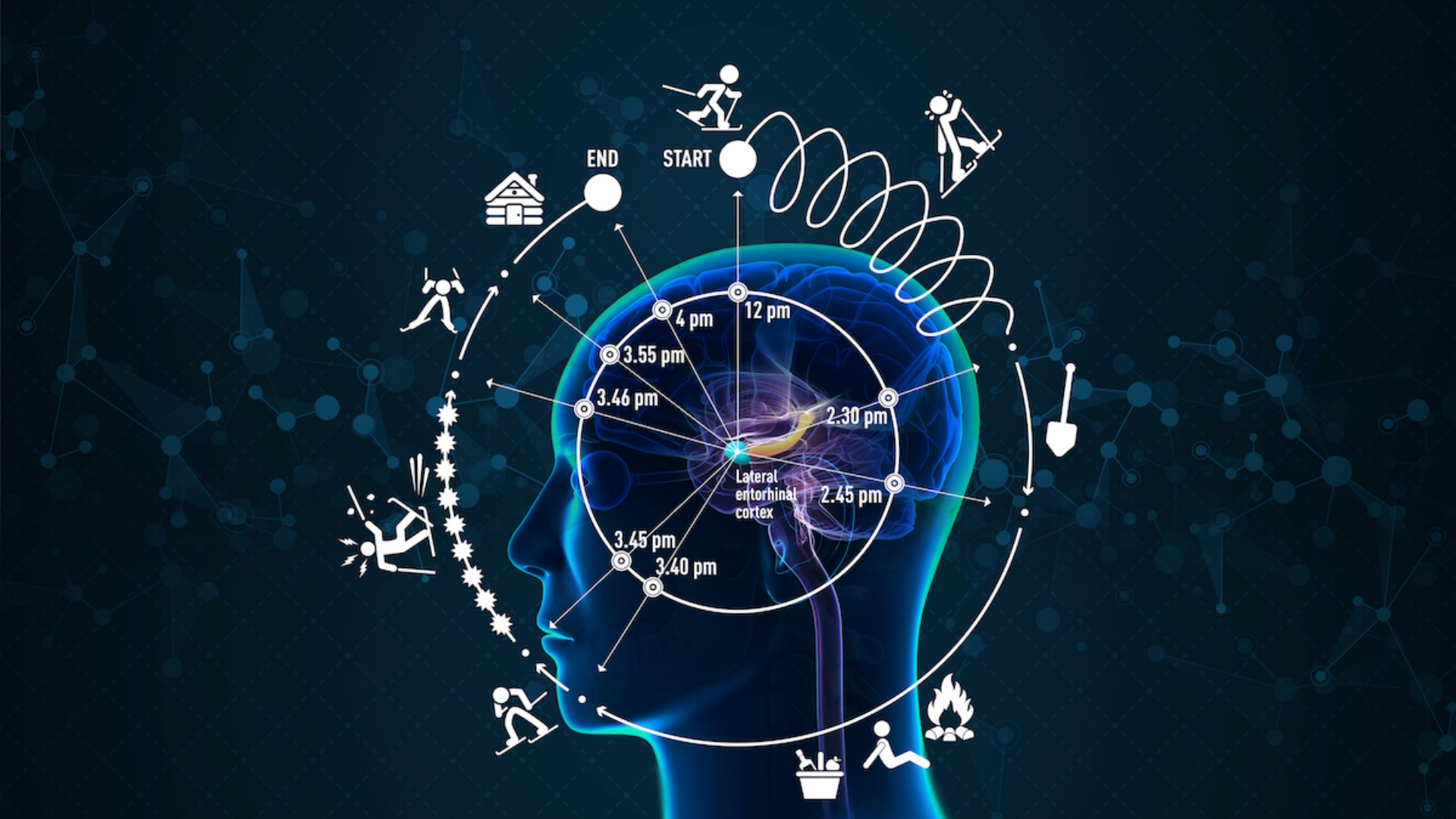 According to a study, the brain perceives time through activities rather than hours.