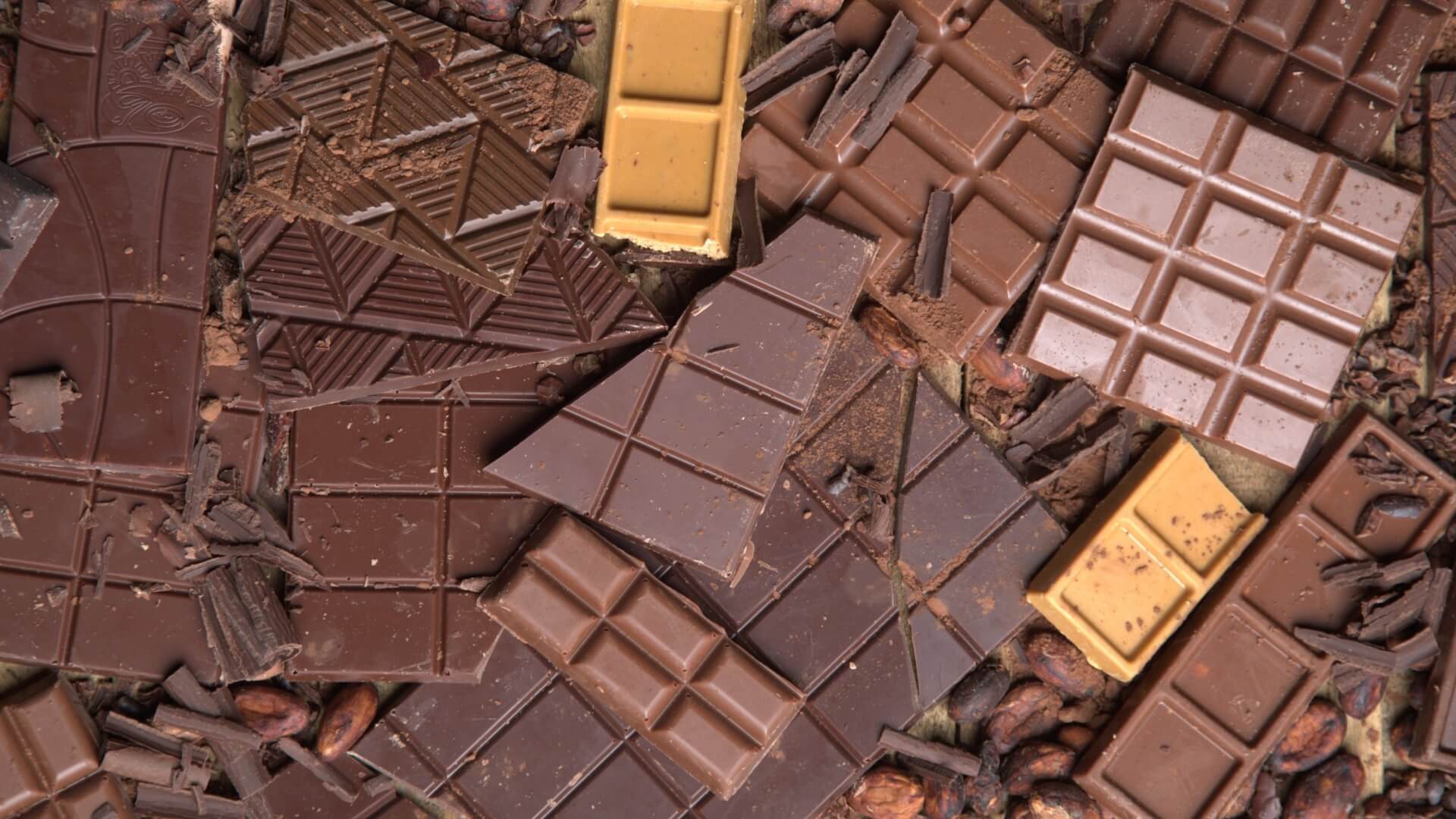 This one-night-only event offers a chance to sample and learn about Filipino chocolate.