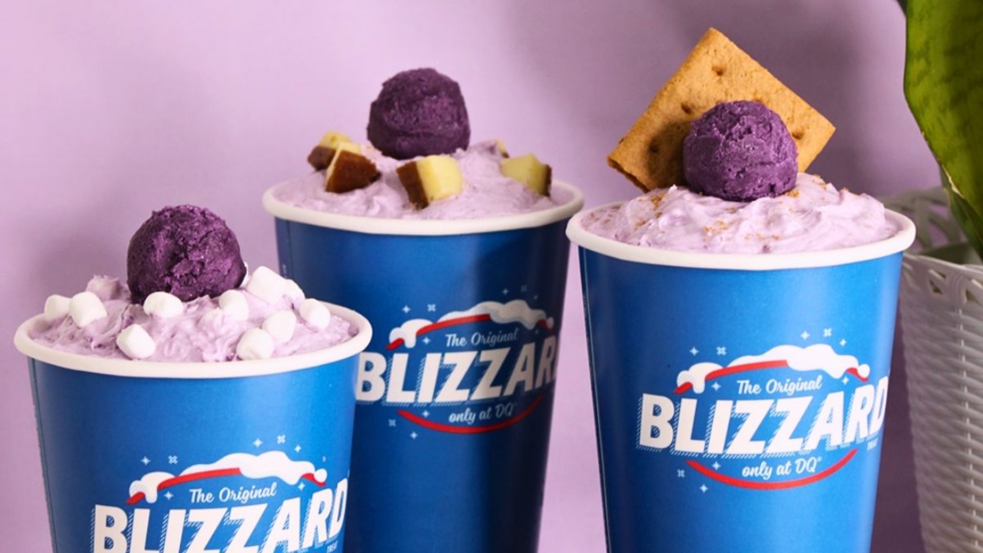 Dairy Queen Finally Answers Ube Lovers' Prayers with the Launch of the Ultimate Ube Collection